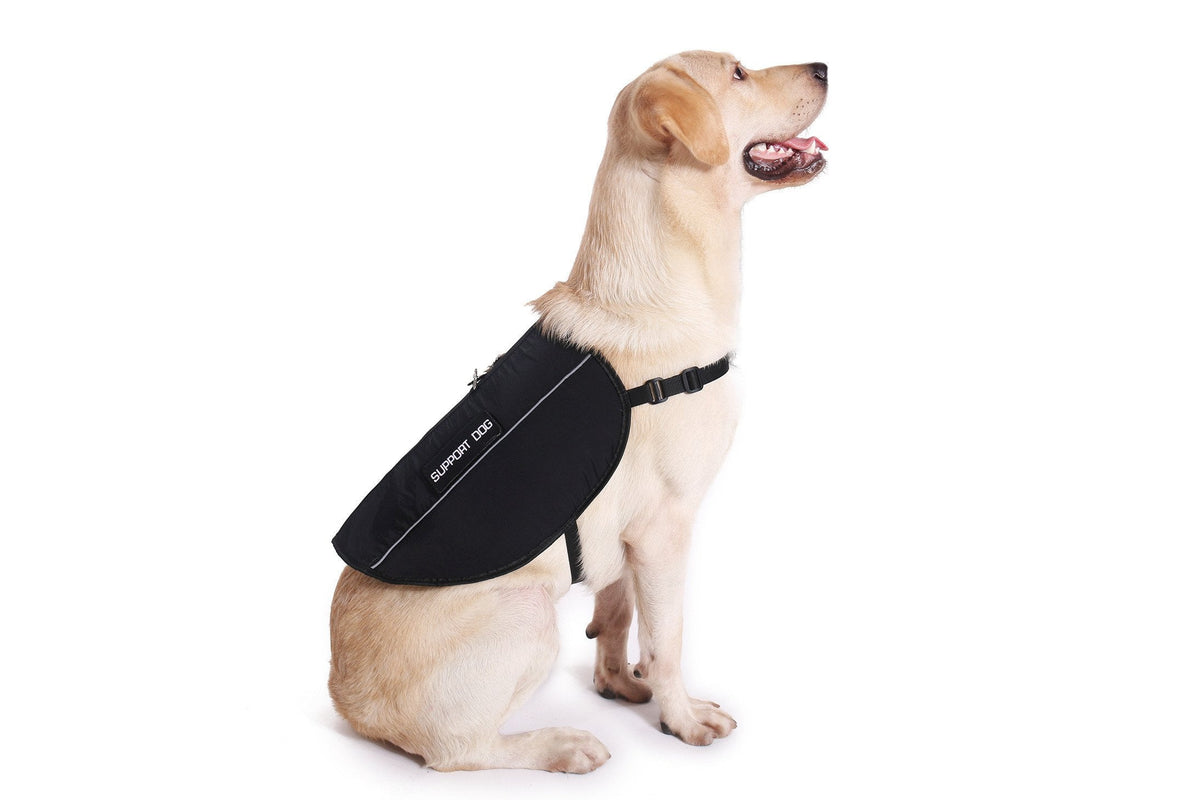 Emotional Support Dog Package product image 6