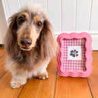 Paw Print Kit product image 6