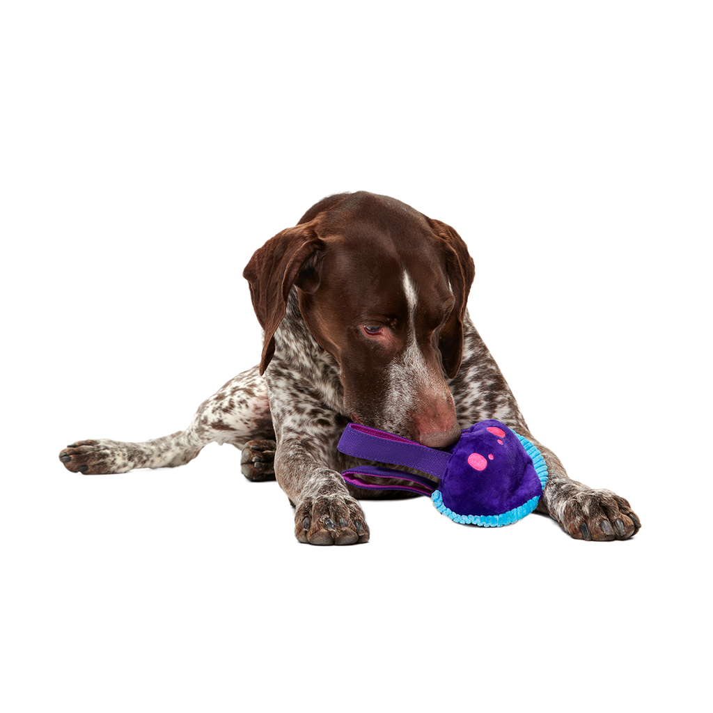Two-Layer Tug Dog Toy product image 6