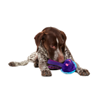 Two-Layer Tug Dog Toy product image 6