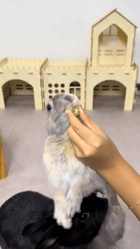 Small Animal Treats product image 6