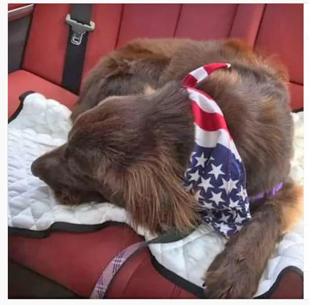 Quilted Dog Cooling Mat product image 6
