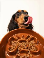Slow Feeder Bowl product image 6