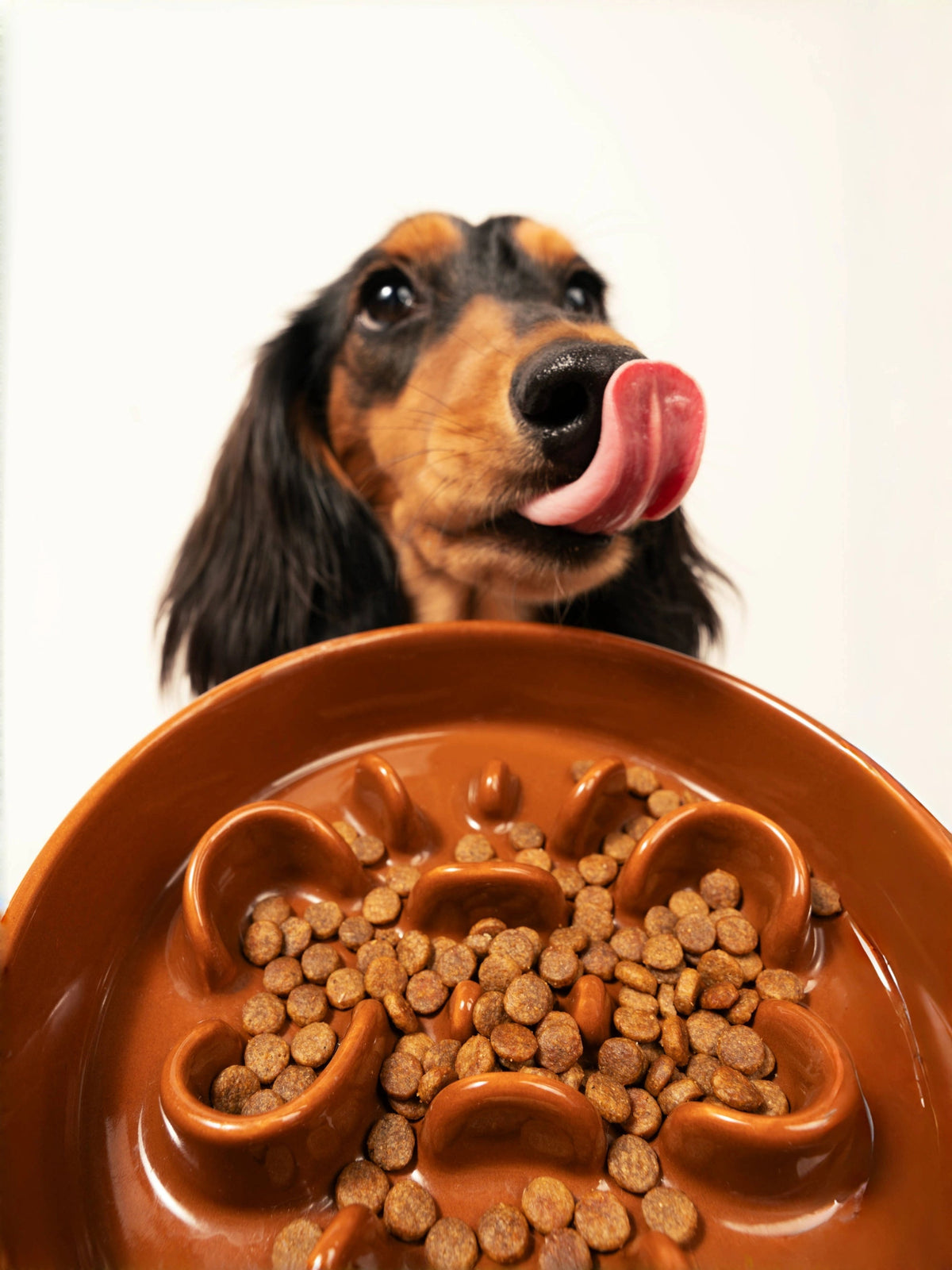 Slow Feeder Bowl product image 6