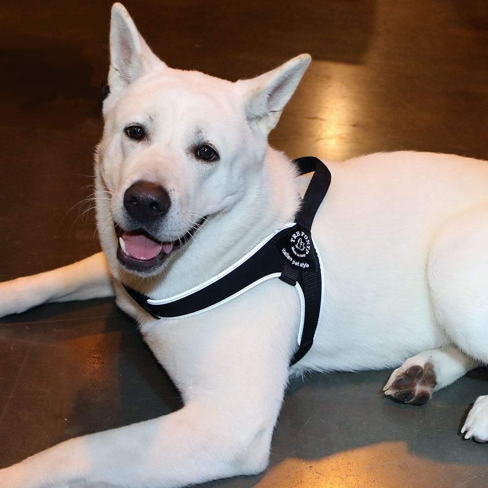 Dog Harness product image 6
