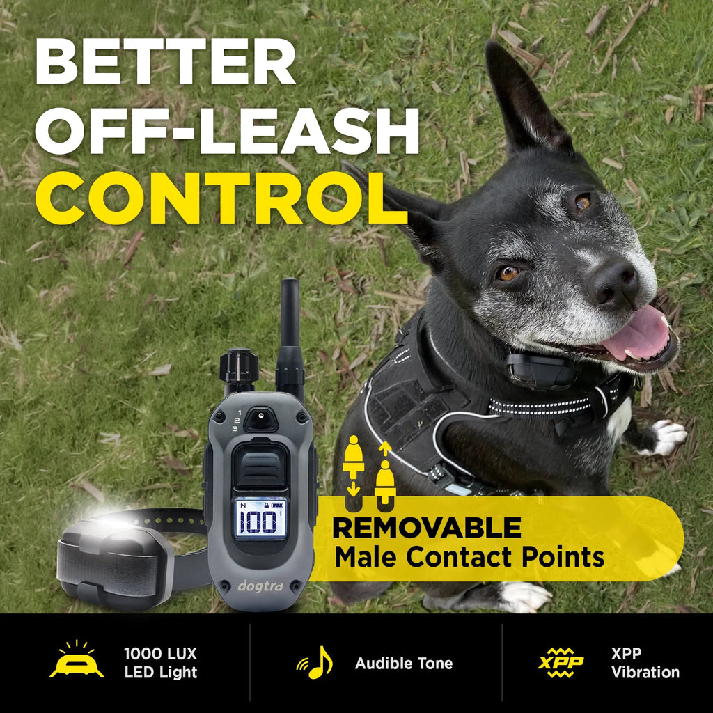 Dog Training Collar product image 6