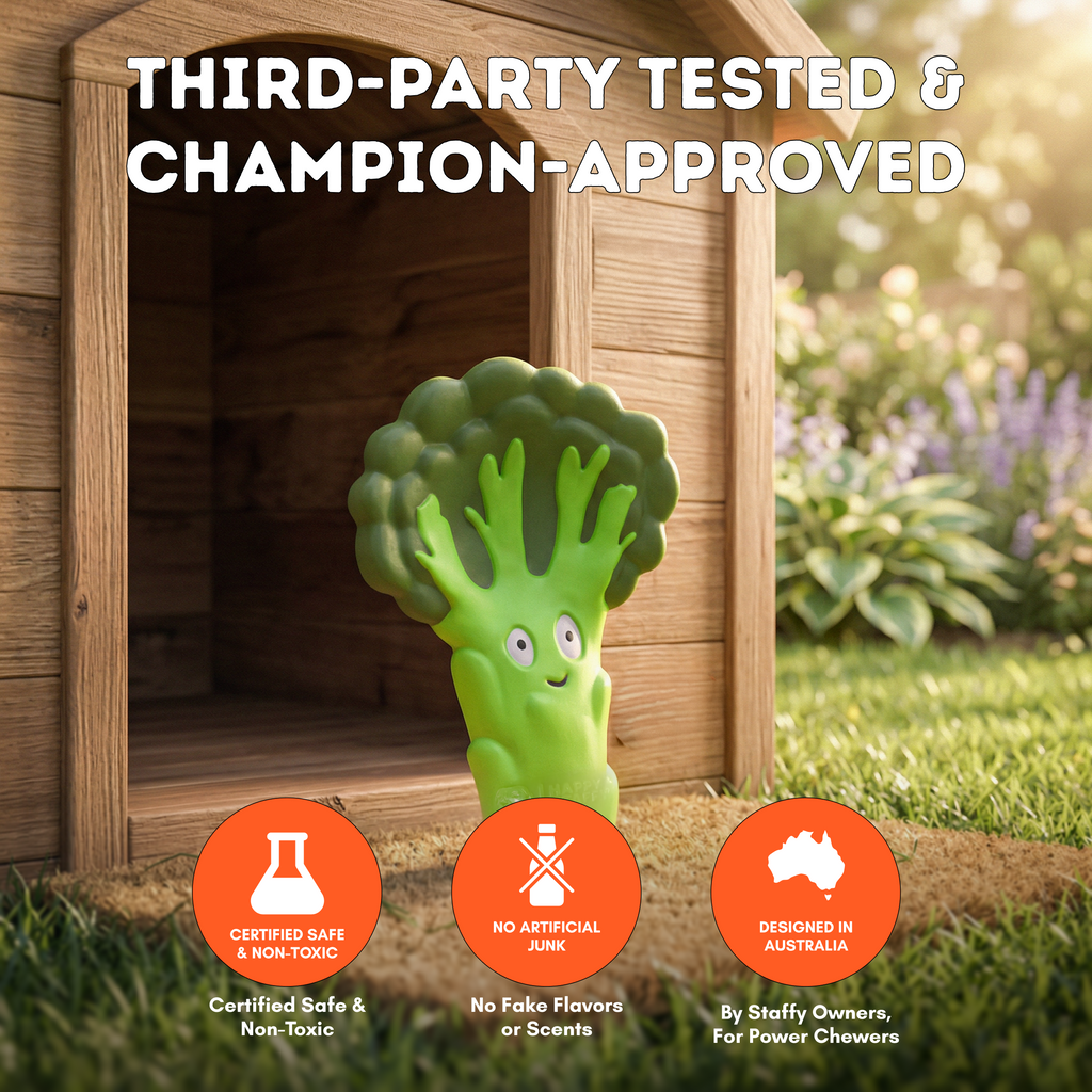 Dog Chew Toy product image 6
