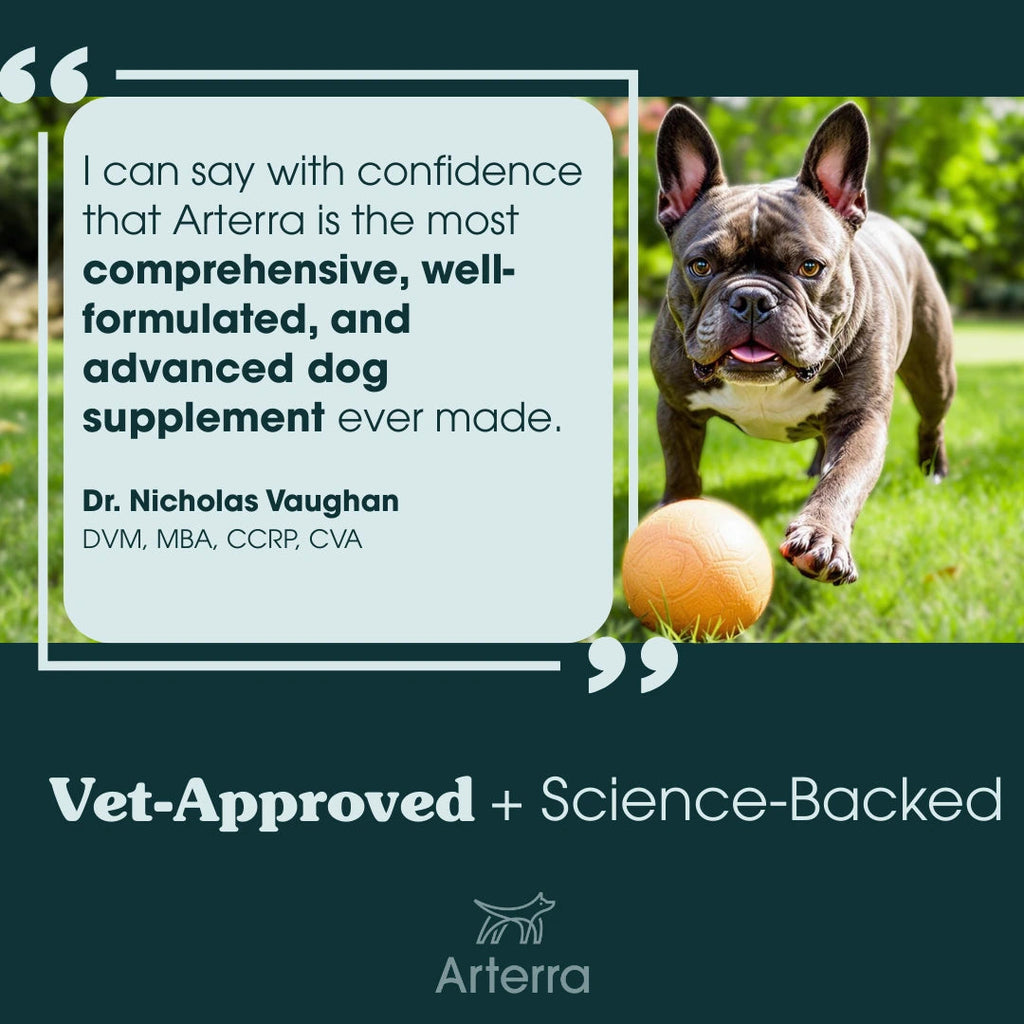Adult Dog Multivitamin product image 6