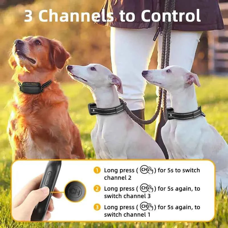 Dog Training Collar product image 6