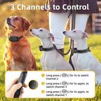 Dog Training Collar product image 6