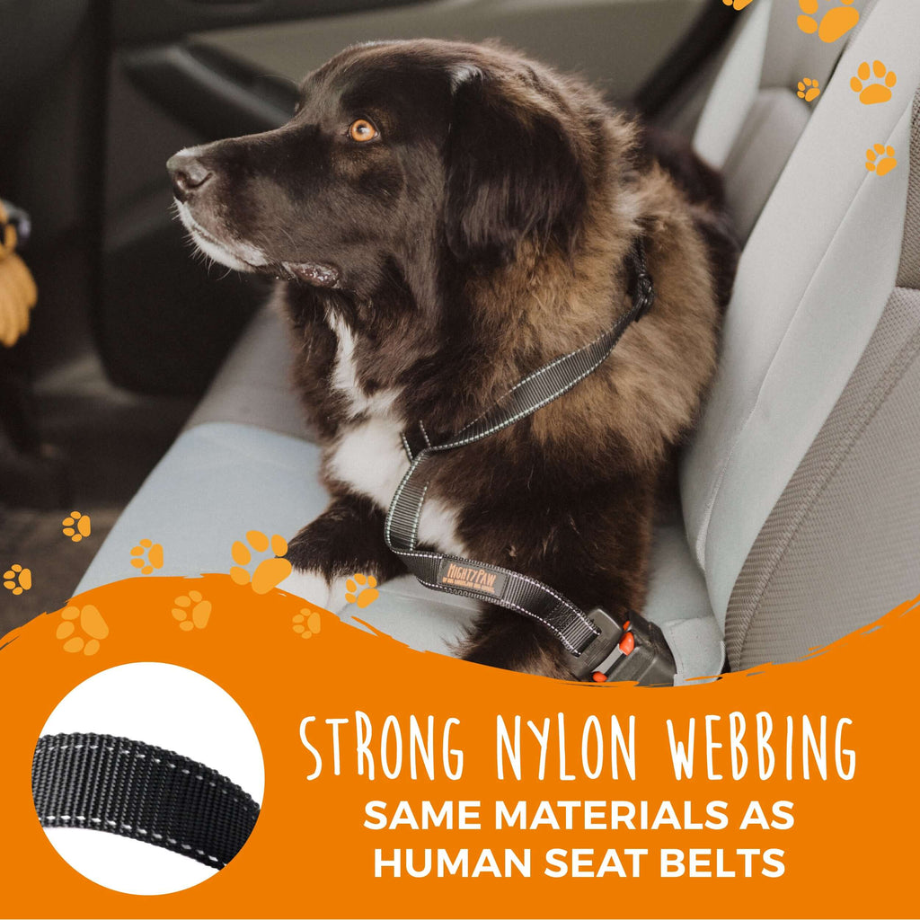Dog Seat Belt Tether product image 6