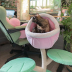 Cat Trees & Scratchers product image 6