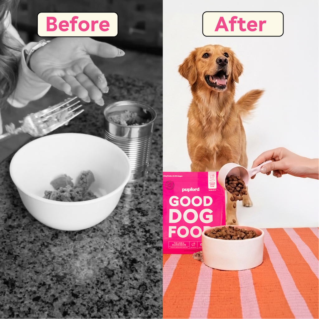 Freeze-Dried Dog Food product image 6