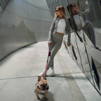 Bungee Dog Leash product image 6