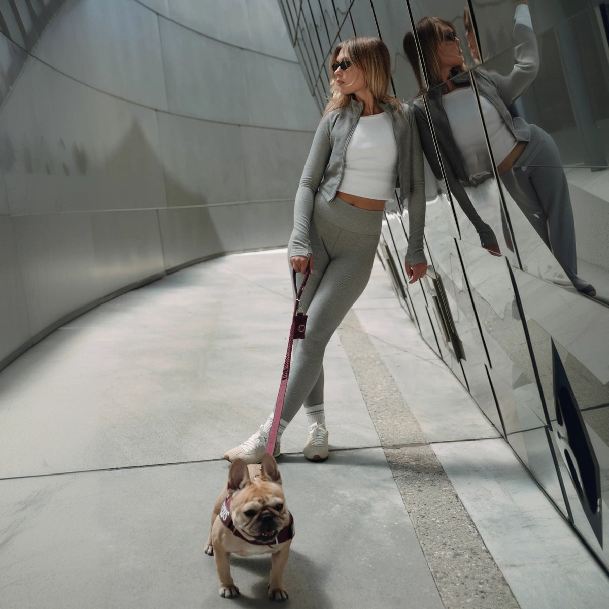 Bungee Dog Leash product image 6