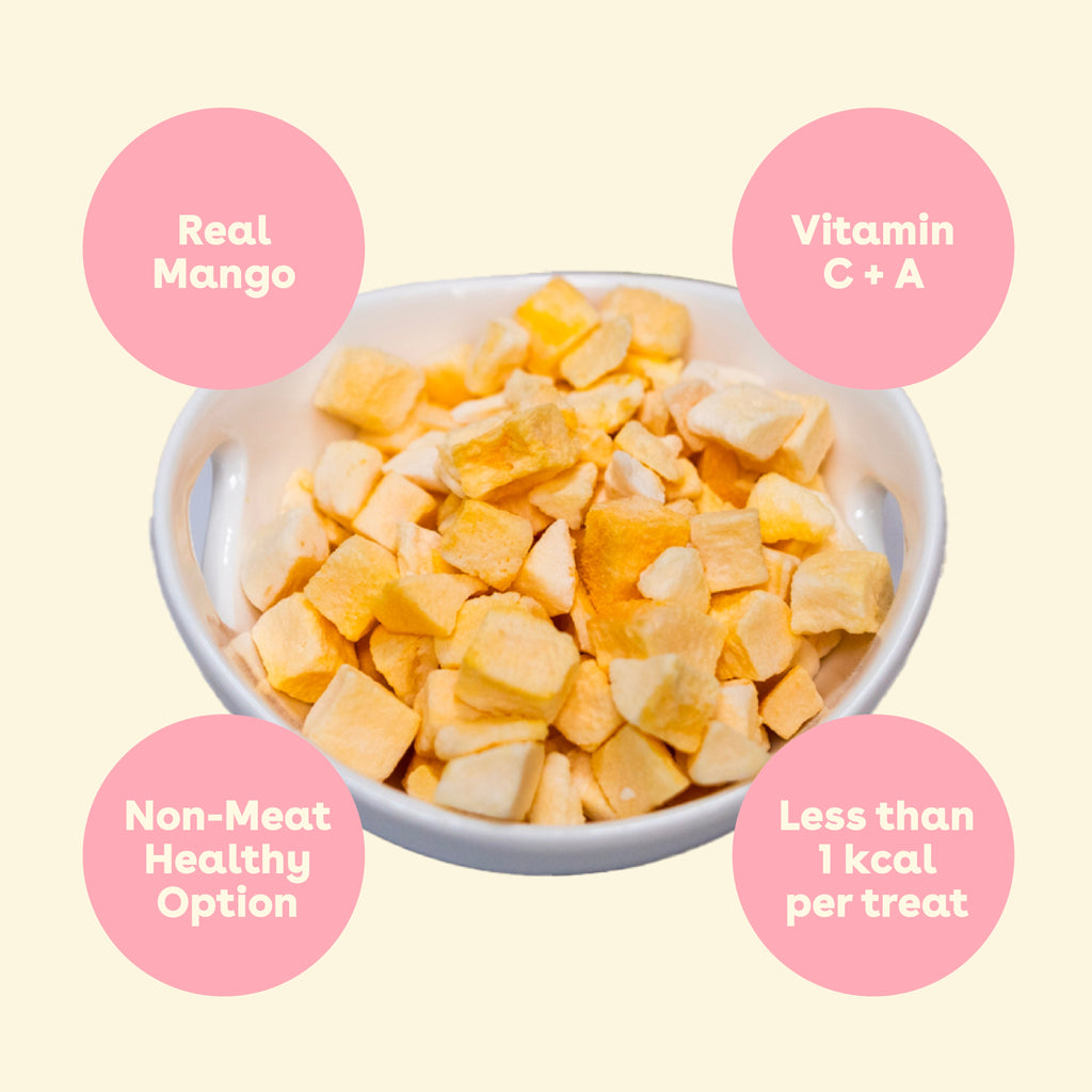Mango Dog Treats product image 6