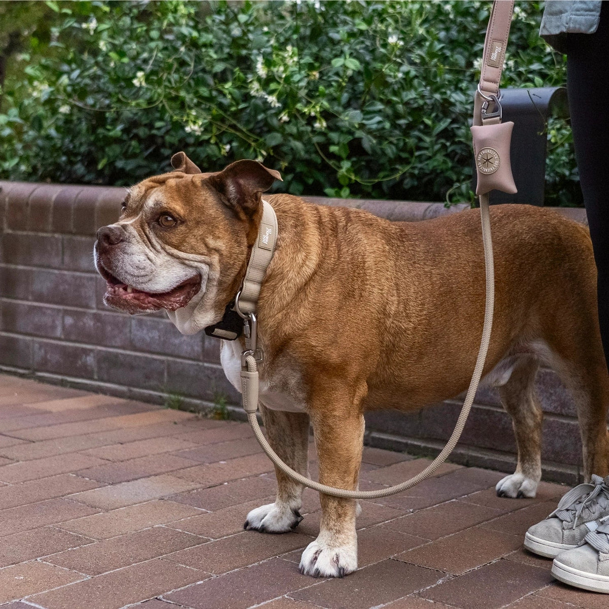 Tactical Dog Collar product image 6