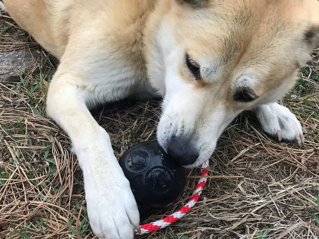 Dog Treat Toy product image 6