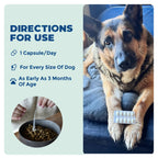 Dog and Cat Probiotic product image 6