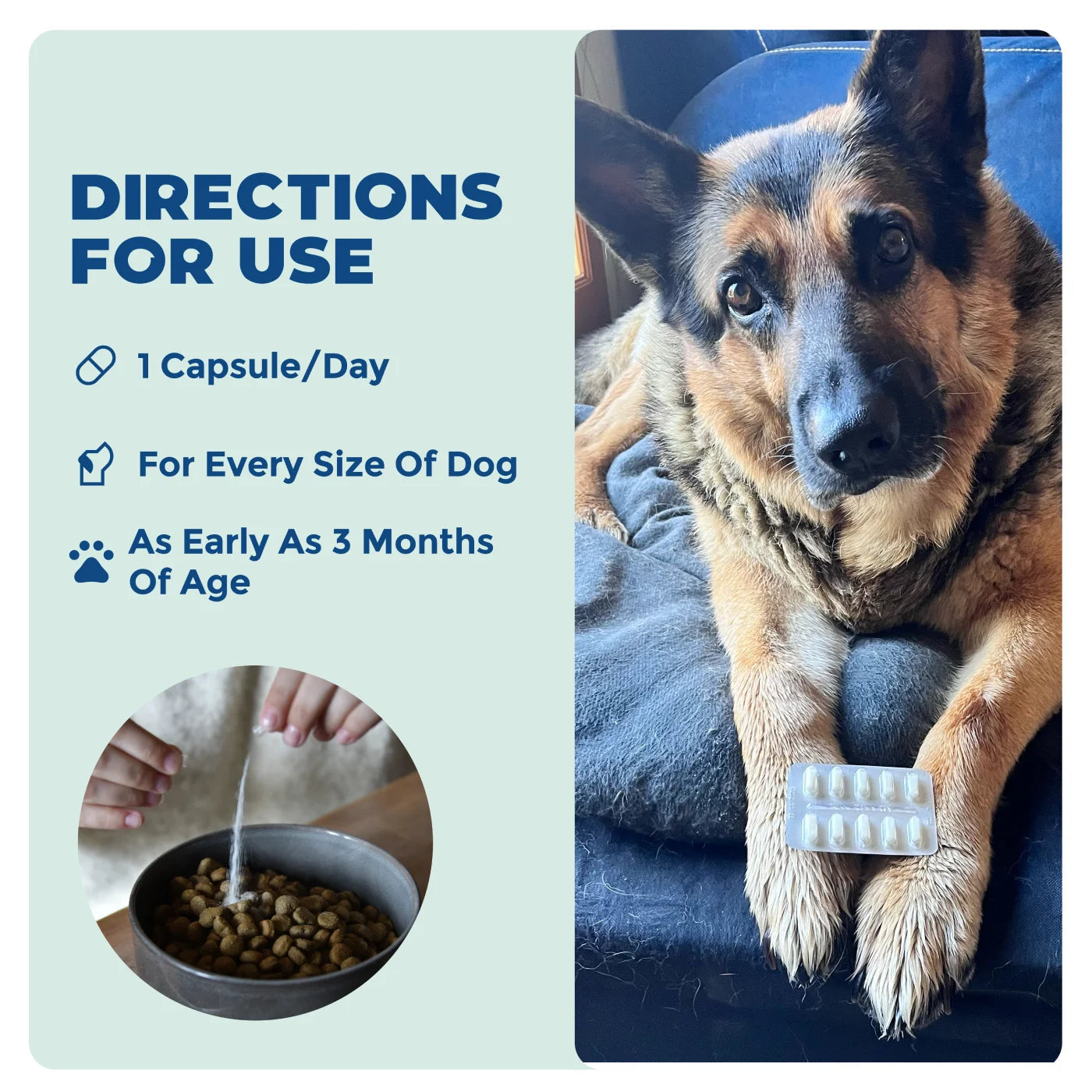 Dog and Cat Probiotic product image 6