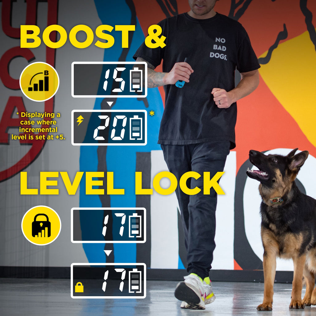 Remote Dog Training Collar product image 6