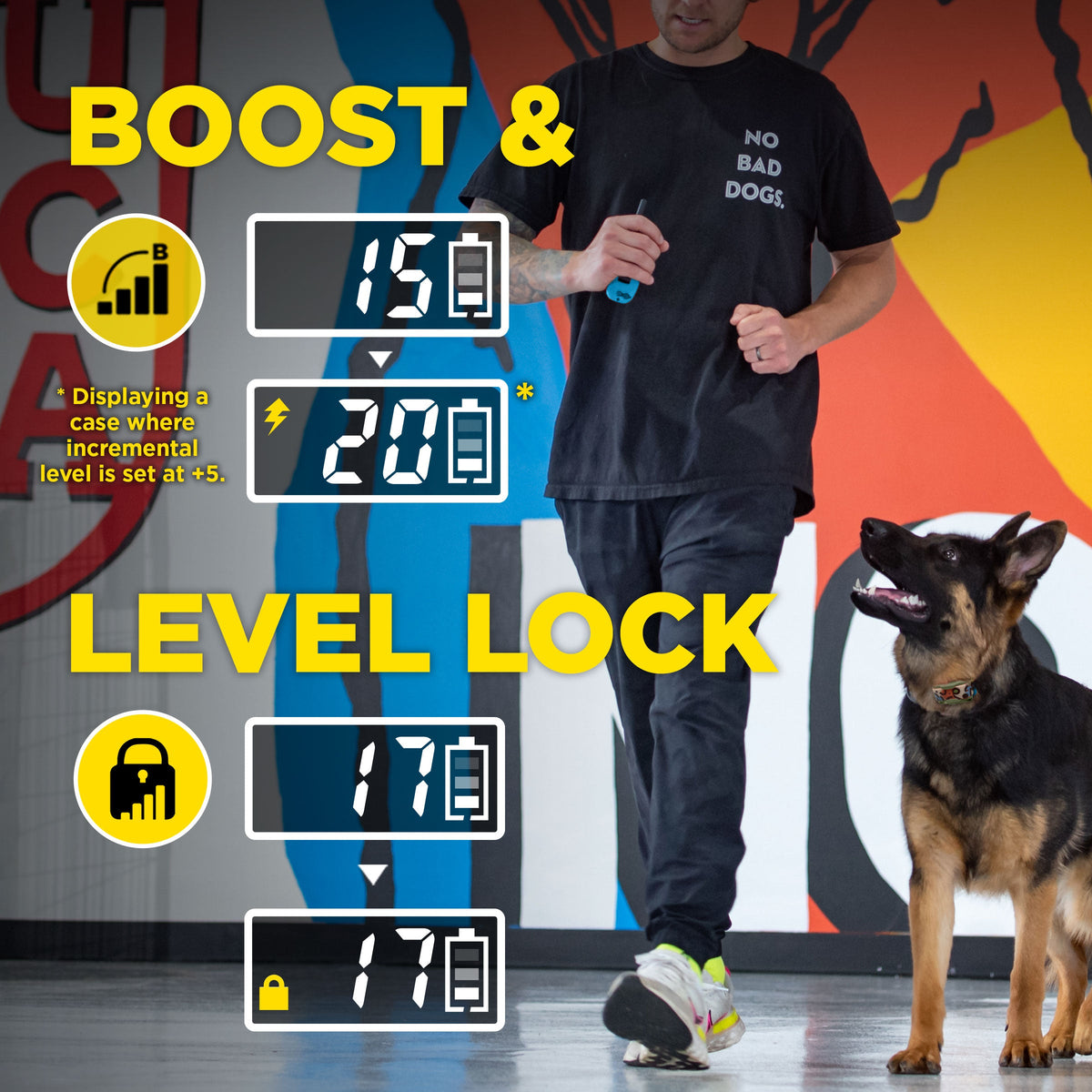 Remote Dog Training Collar product image 6