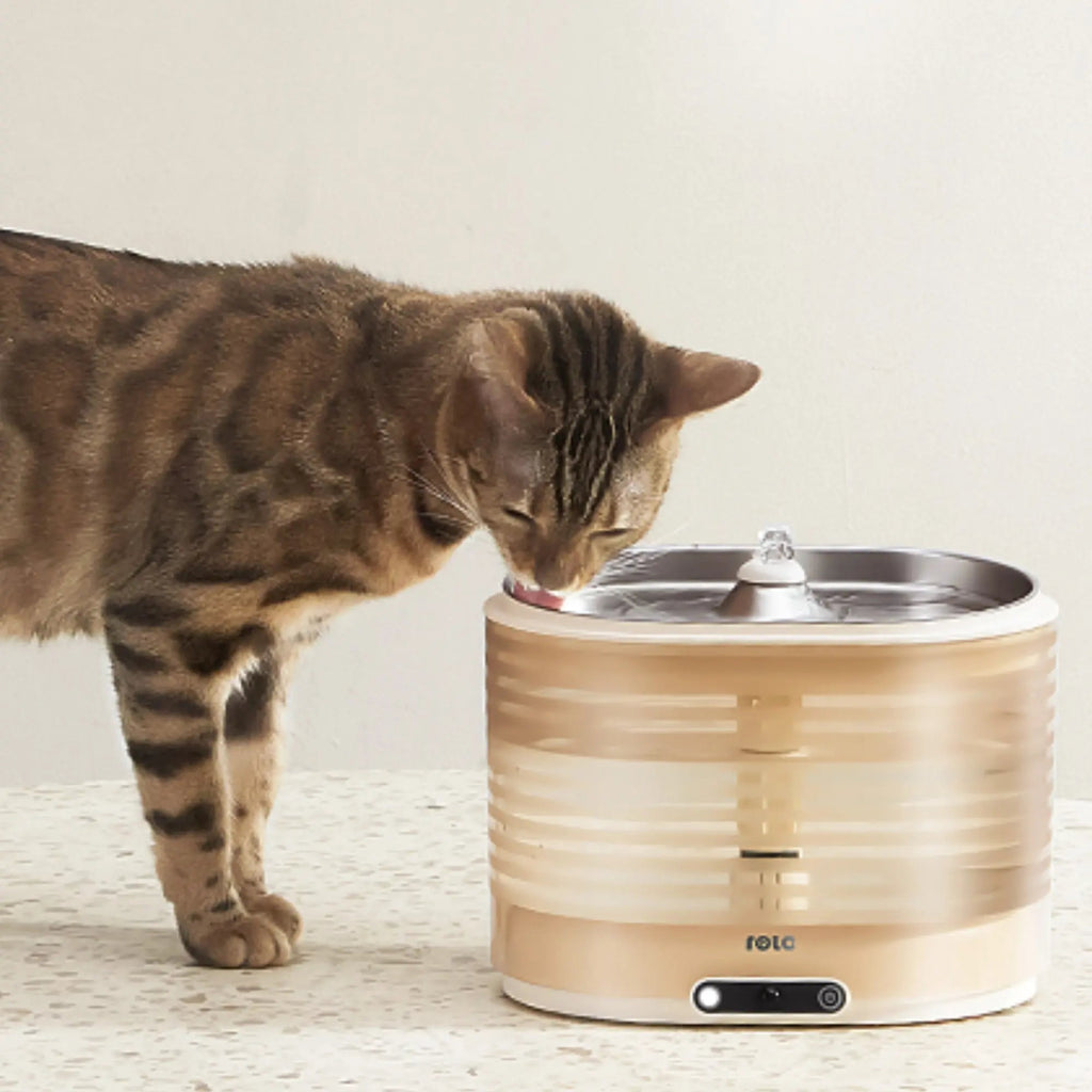 Pet Water Fountain product image 6