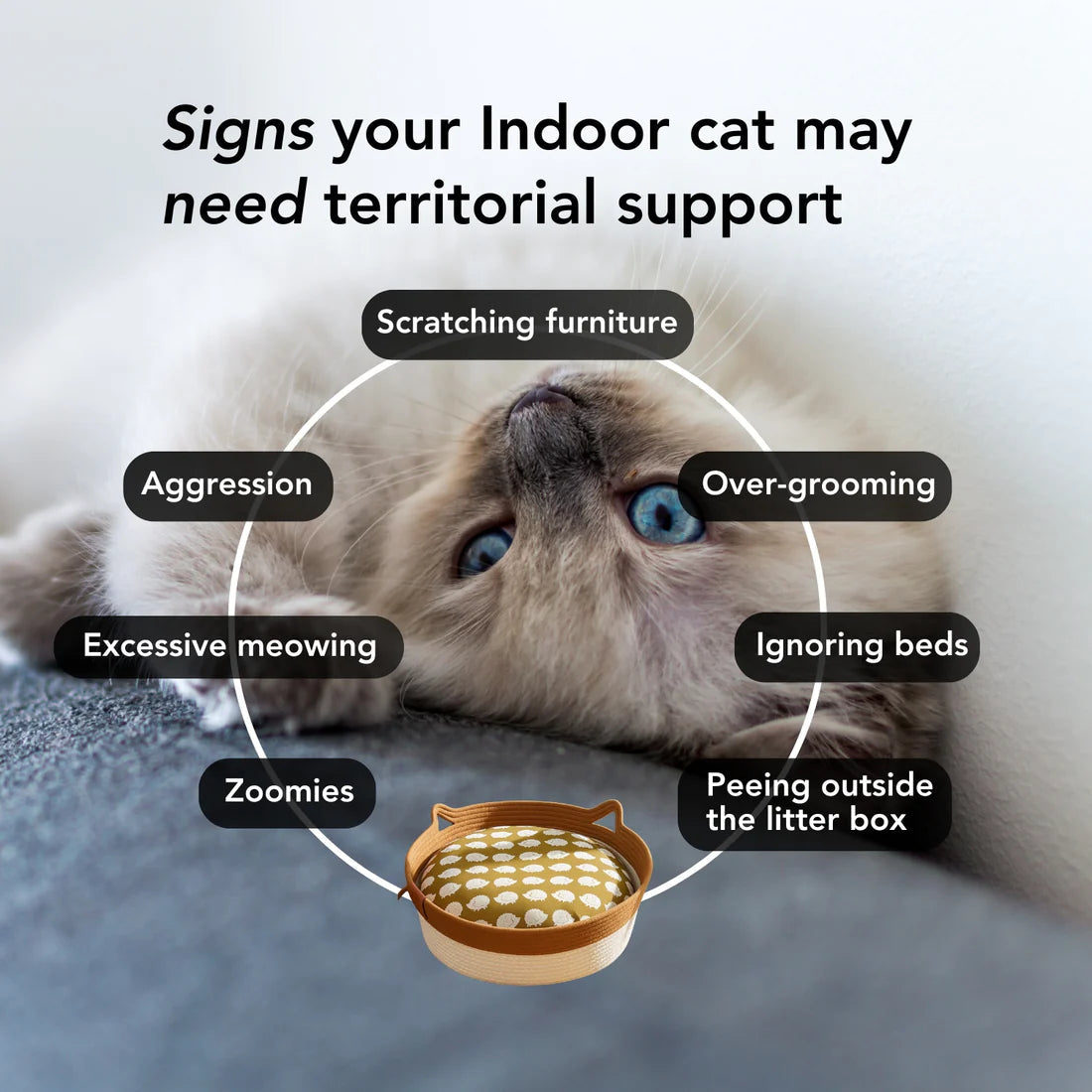 Handwoven Cat Bed product image 6