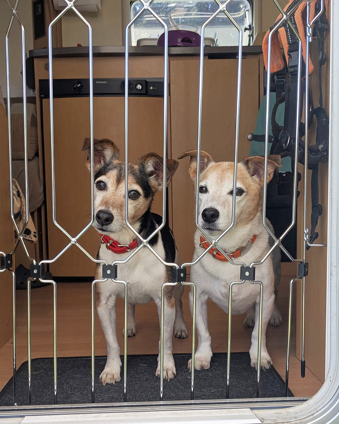 Retractable Dog Gate product image 6