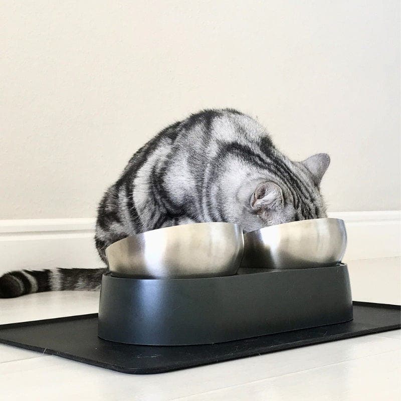 Elevated Stainless Steel Cat Bowl product image 5