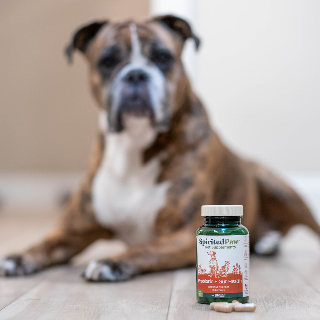 Pet Probiotic product image 6