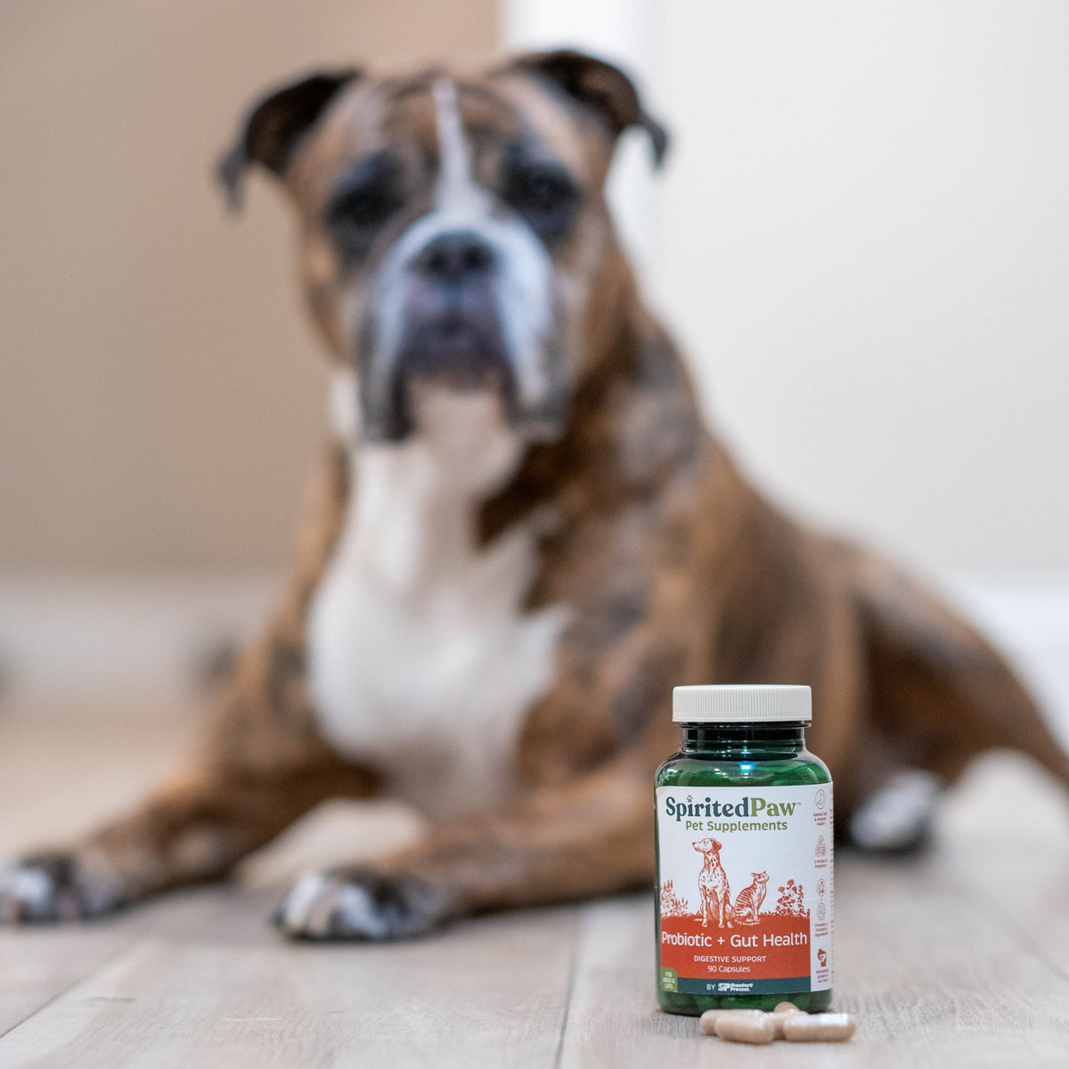 Pet Probiotic product image 6