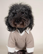 Dog Sweater product image 6