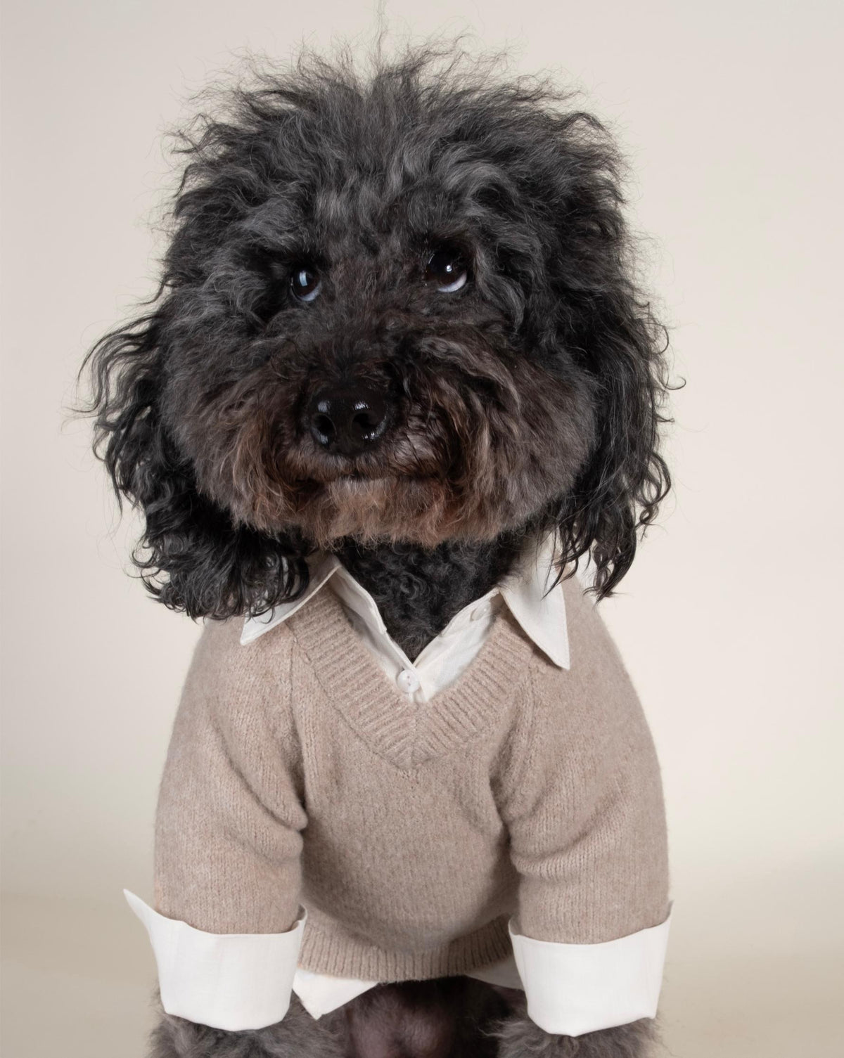 Dog Sweater product image 6