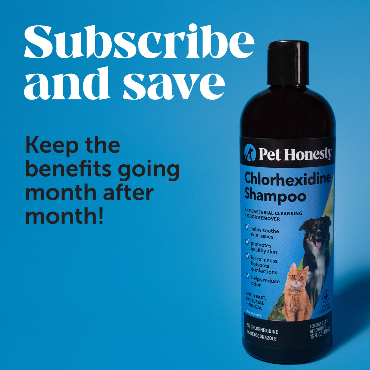 Chlorhexidine Pet Shampoo product image 6