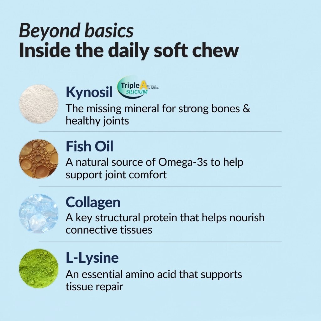 Dog Hip and Joint Support Treats product image 6