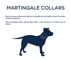 Martingale Dog Collar product image 6