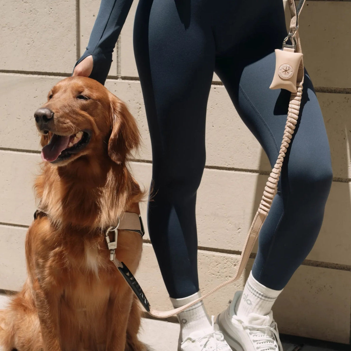 Bungee Dog Leash product image 6