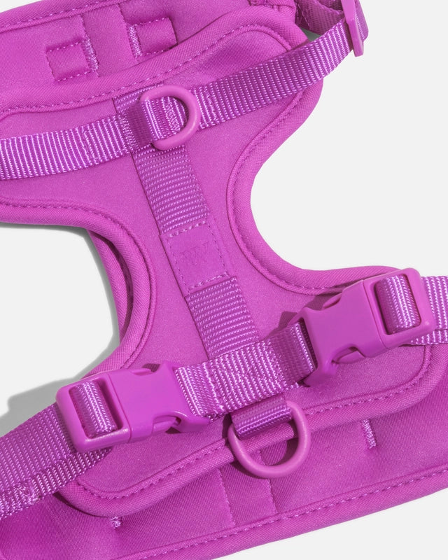 Dog Harness product image 6