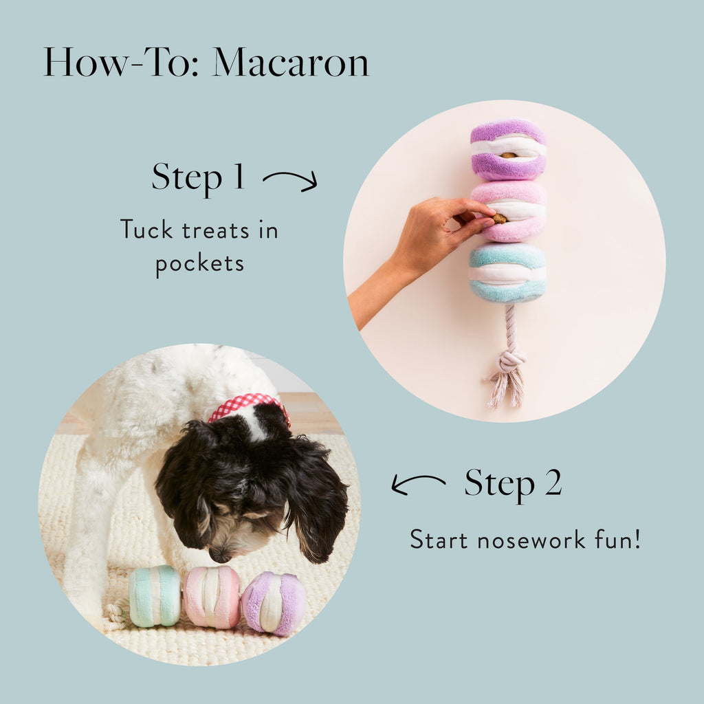 Macaron Snuffle Dog Toy product image 6