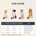 Dog Beds product image 6