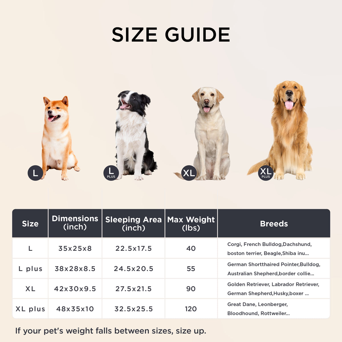 Dog Beds product image 6