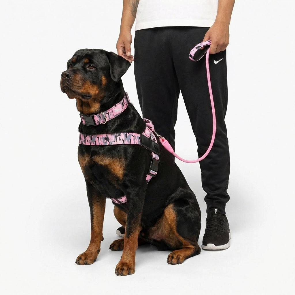 No-Pull Dog Harness and Leash Bundle product image 6