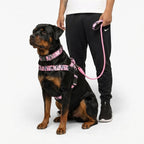 No-Pull Dog Harness and Leash Bundle product image 6