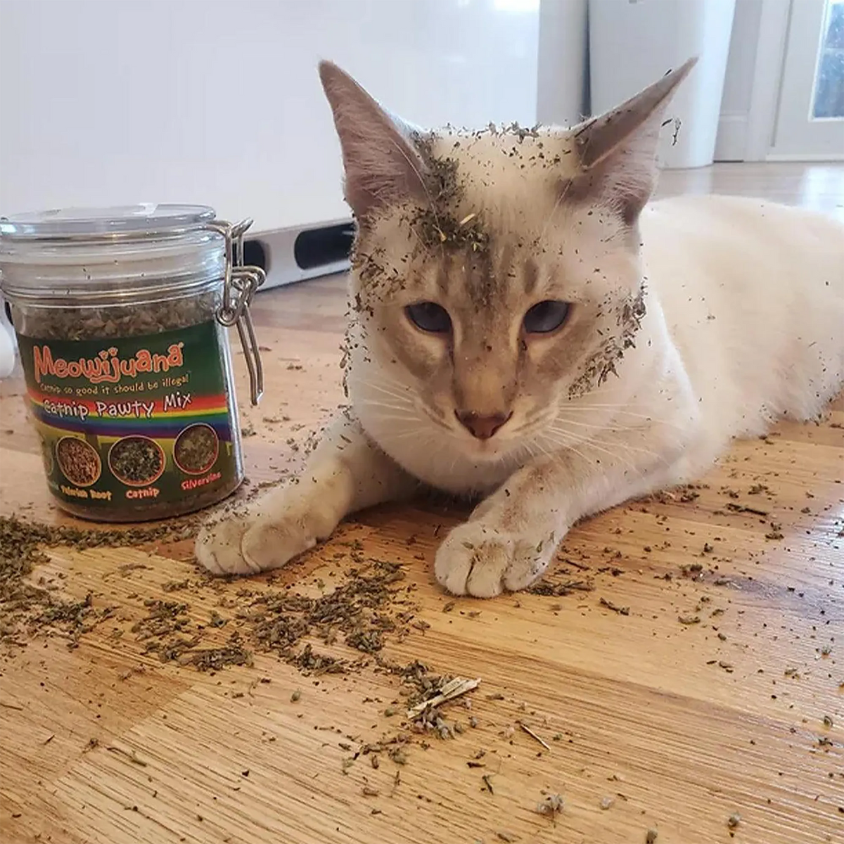 Catnip Mix product image 6