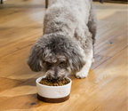 Dry Dog Food product image 6