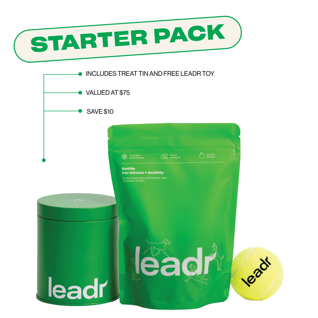Dog Calming Soft Chews product image 6
