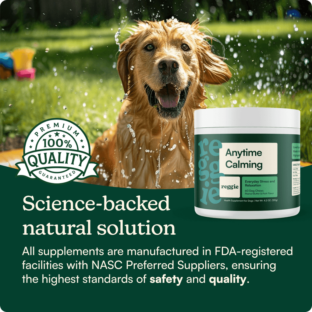 Dog Calming Supplement Chews product image 6