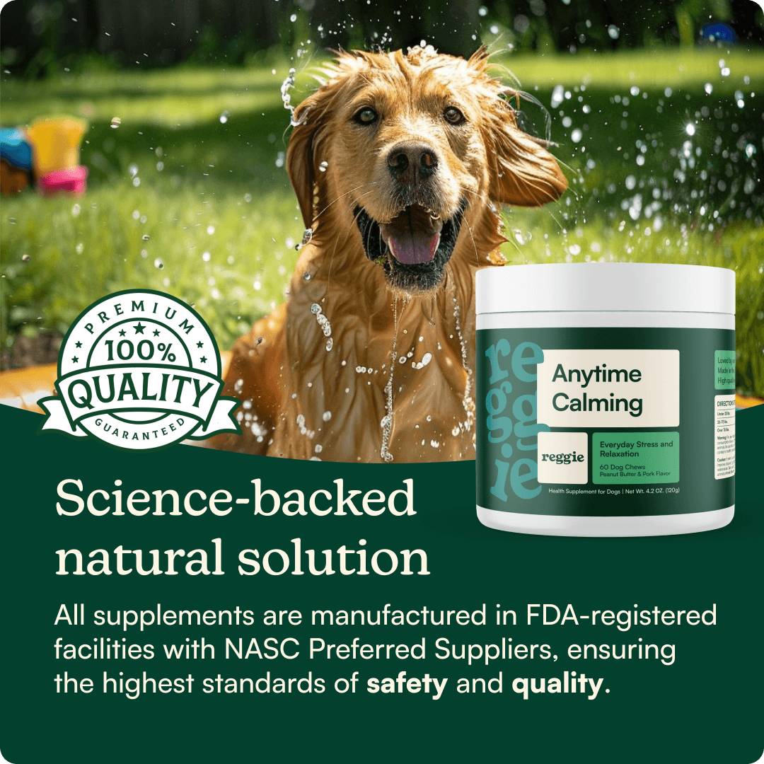 Dog Calming Supplement Chews product image 6
