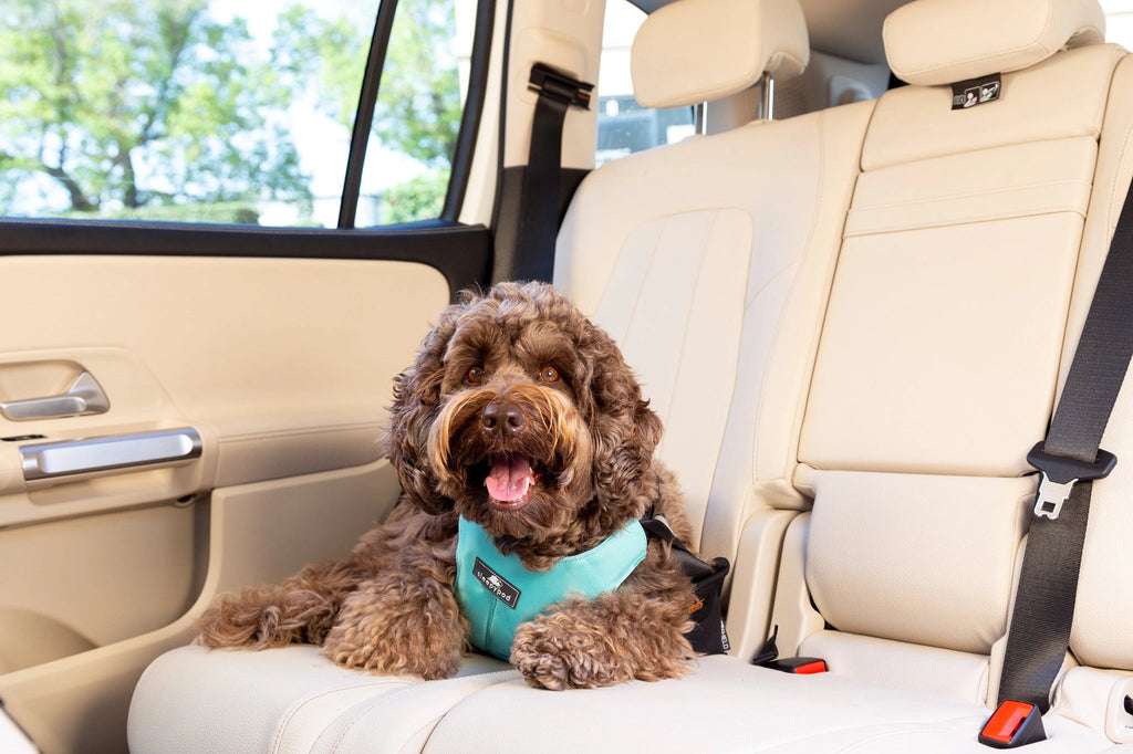 Dog Car Harness product image 6